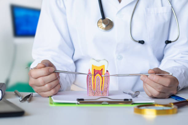 Best Emergency Dental Care for Broken or Chipped Teeth in Sea Girt, NJ